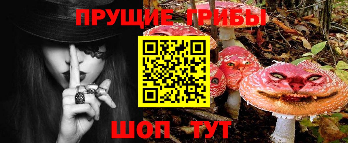 Псилоцибиновые грибы Psilocybine cubensis  Галлюциногенные грибы прущие грибы  Звенигород  Вход с VPN 