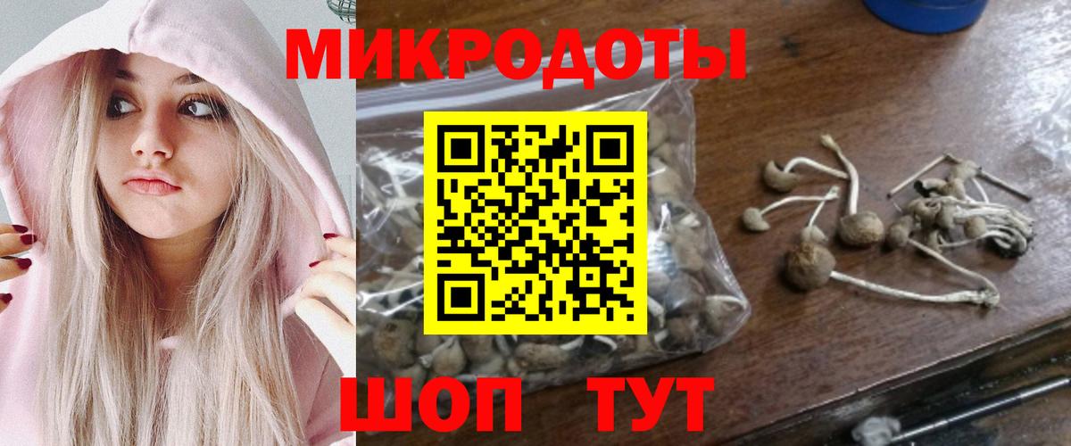 Псилоцибиновые грибы Cubensis Звенигород